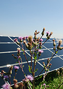 SYSTEM ELECTRIC Project: Solar power plants;